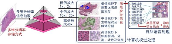 yl23411永利官网