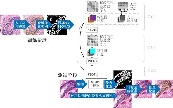 yl23411永利官网